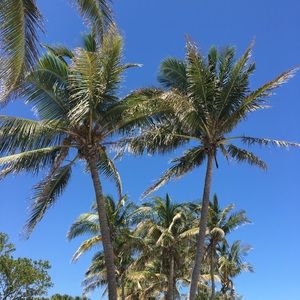 Meet your Posher, Richard